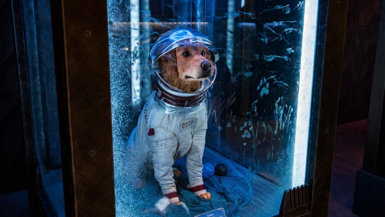 Disney California Adventure Park Avengers Campus Guardians of the Galaxy - Mission: Breakout Warteschlange Hund