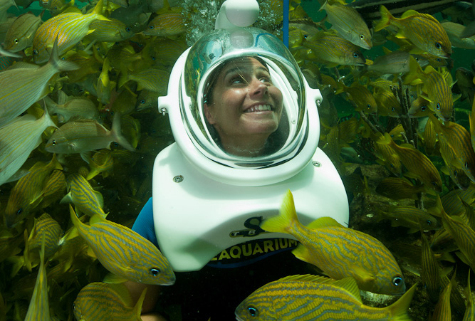 Sea Trek Reef Encounter im Miami Seaquarium