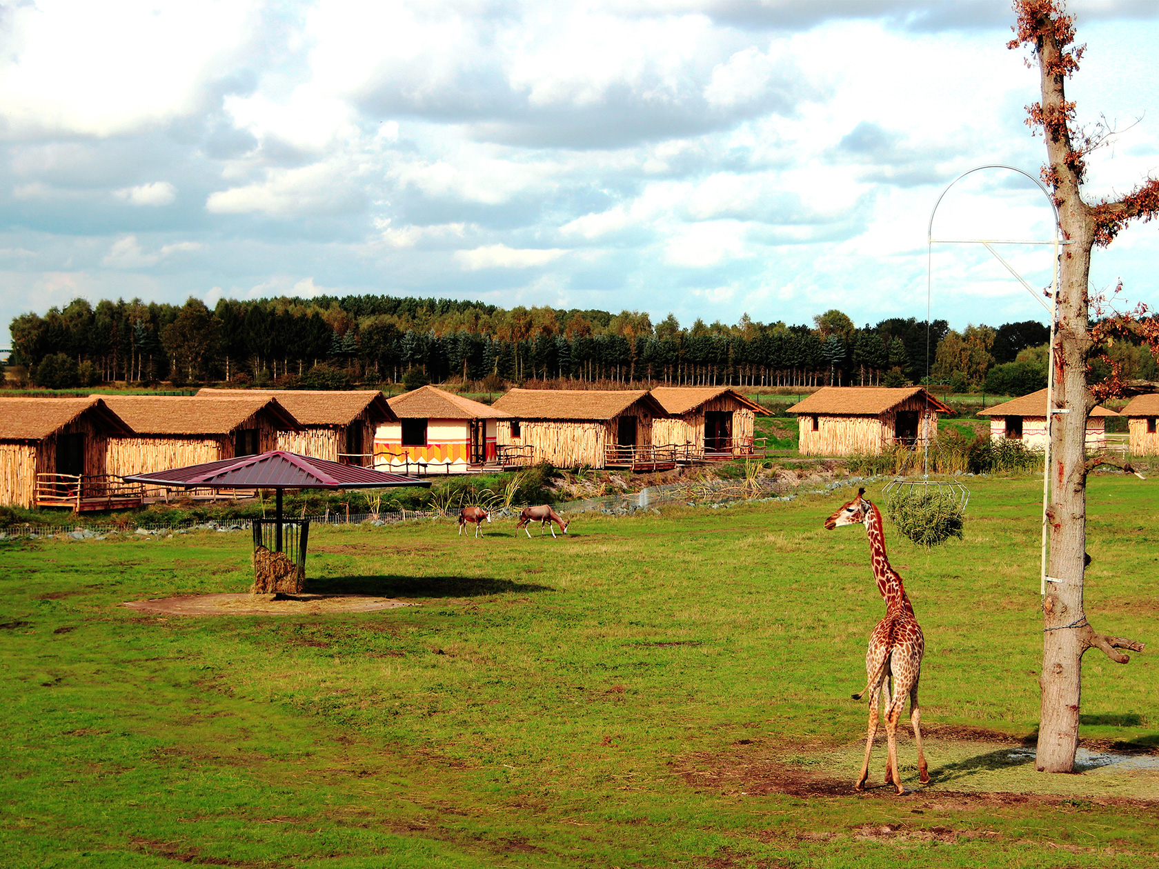 Serengeti Park Übernachtung in Lodges
