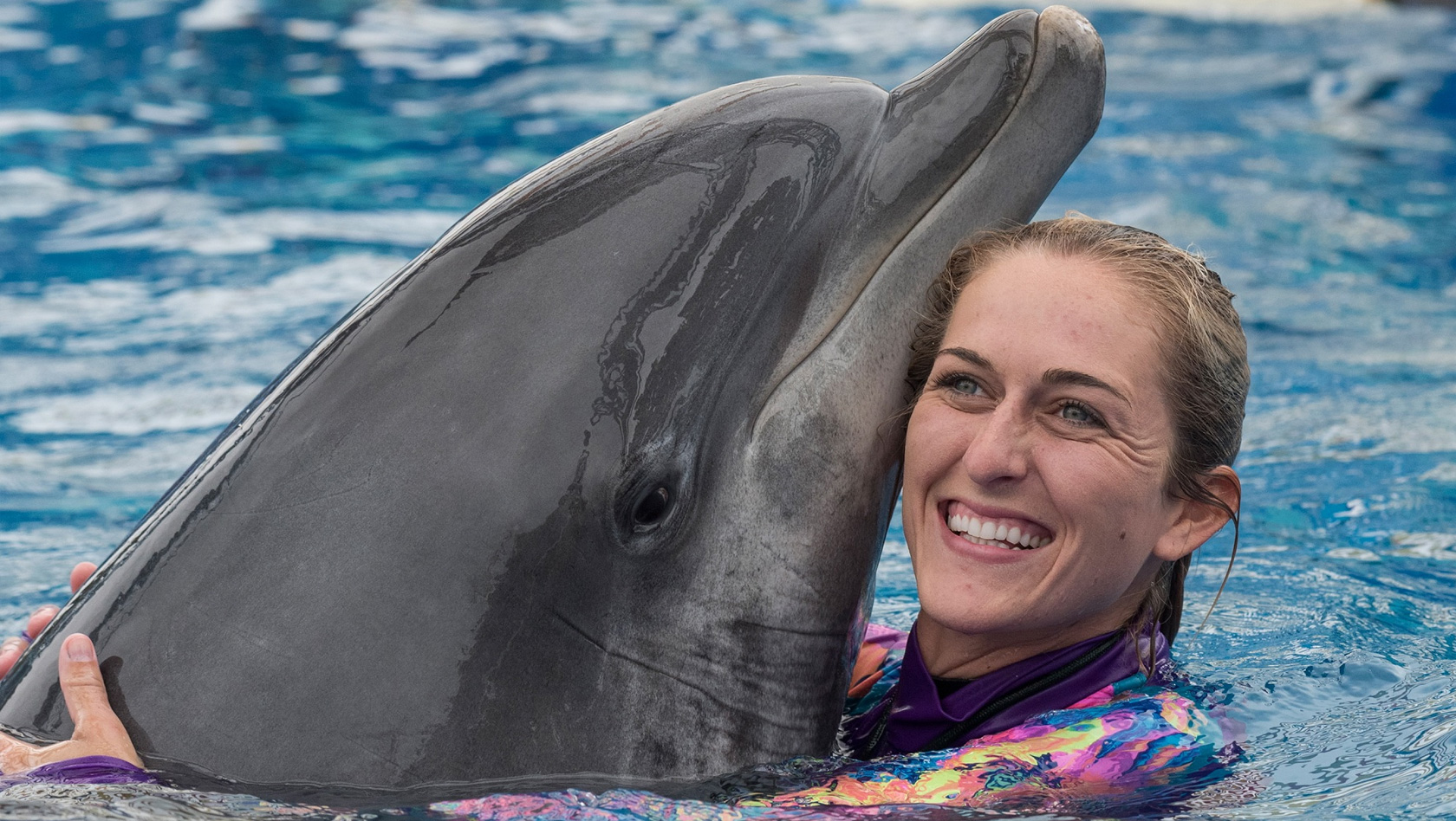 Dolphin Days Show im SeaWorld San Diego - Trainer
