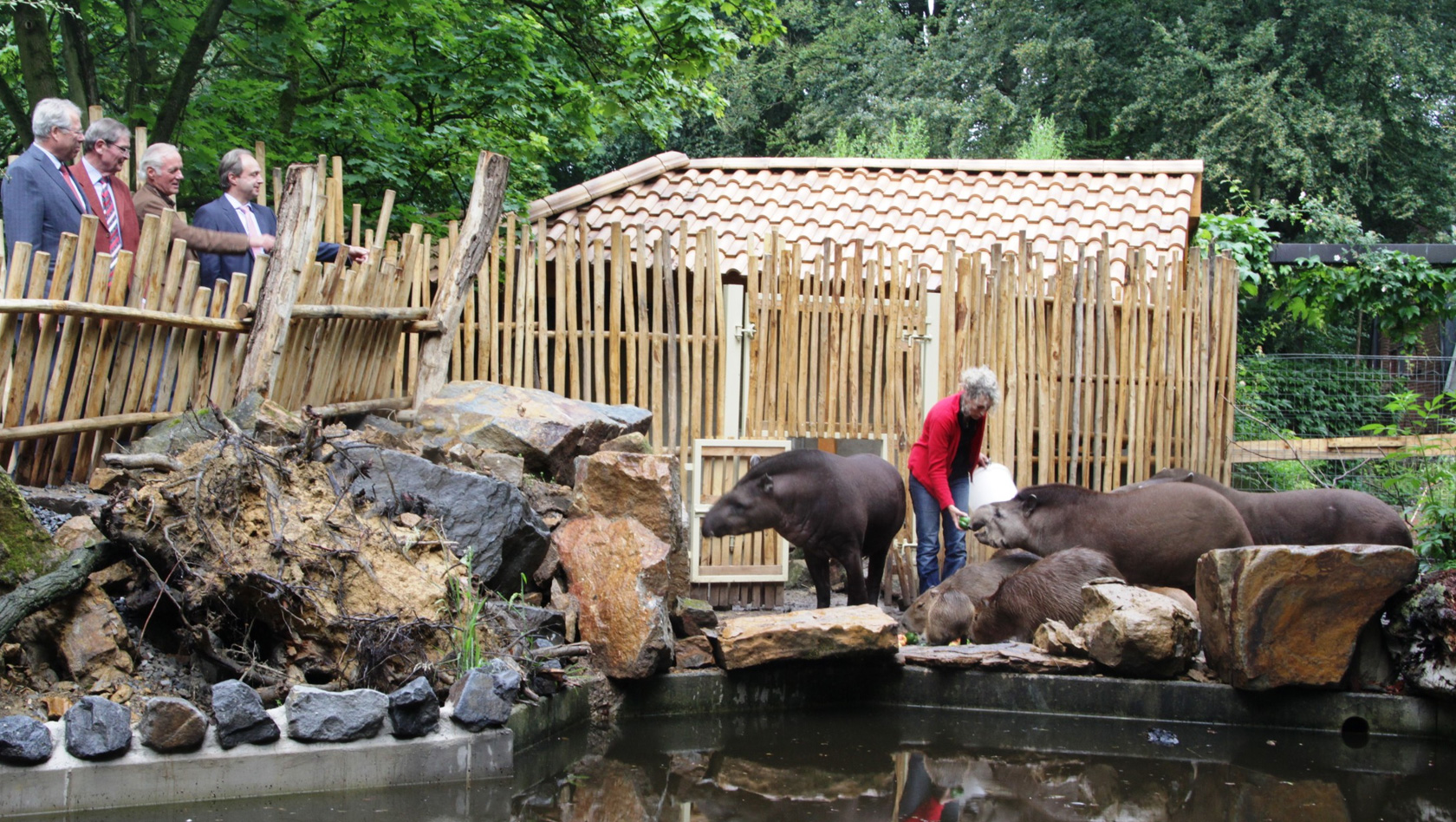 Zoo Osnabrück - Südamerika Außenanlage Umbau