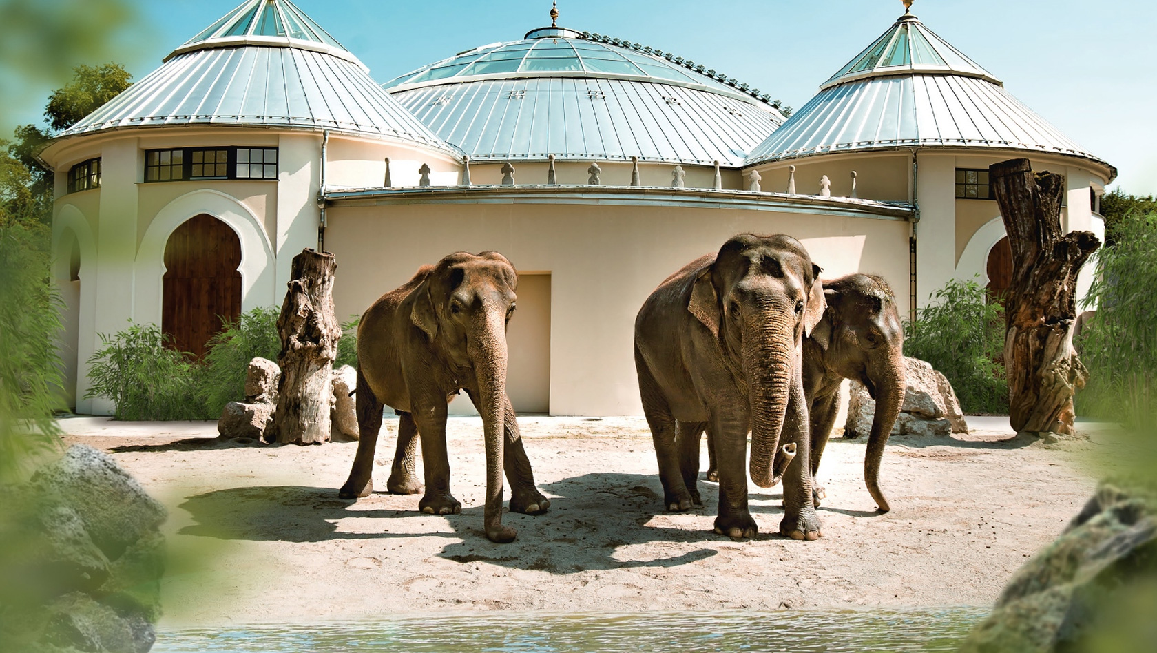 Elefantenhaus im Tierpark Hellabrunn