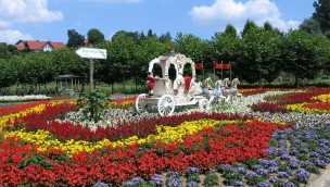 Churpfalzpark Kutsche Blumenbeet 2017