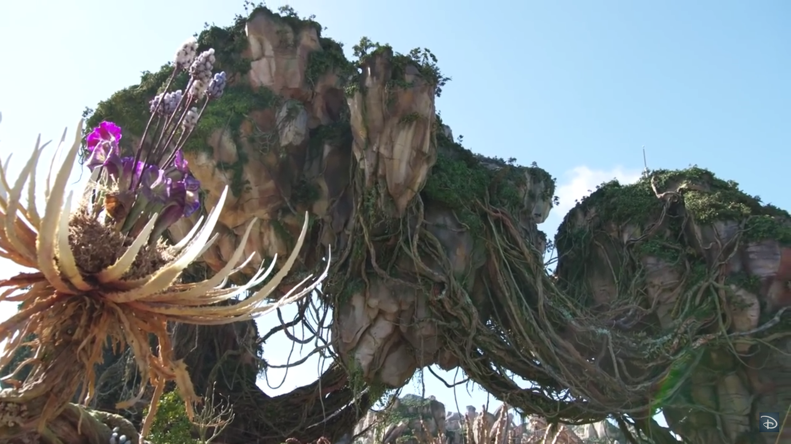 Schwebende Inseln in Avatar Land in Disney's Animal Kingdom