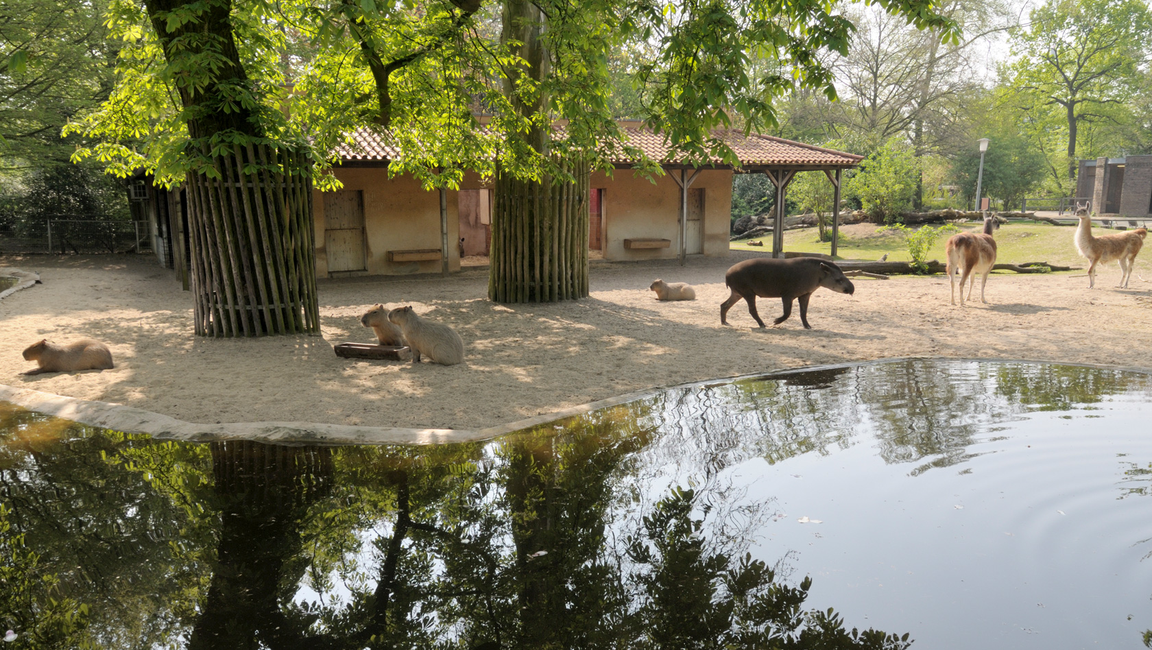 Zoo Krefeld Südamerika-Anlage