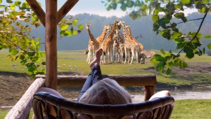 Safaripark Beekse Bergen Safari-Resort