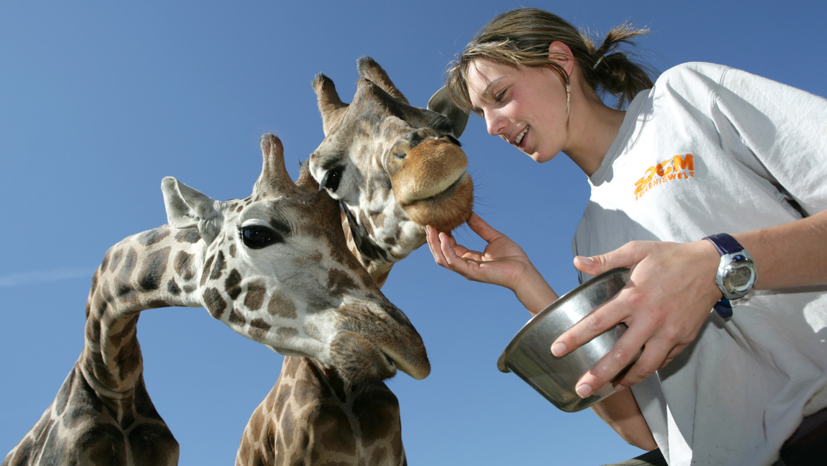 ZOOM Erlebniswelt Giraffen mit Pfleger