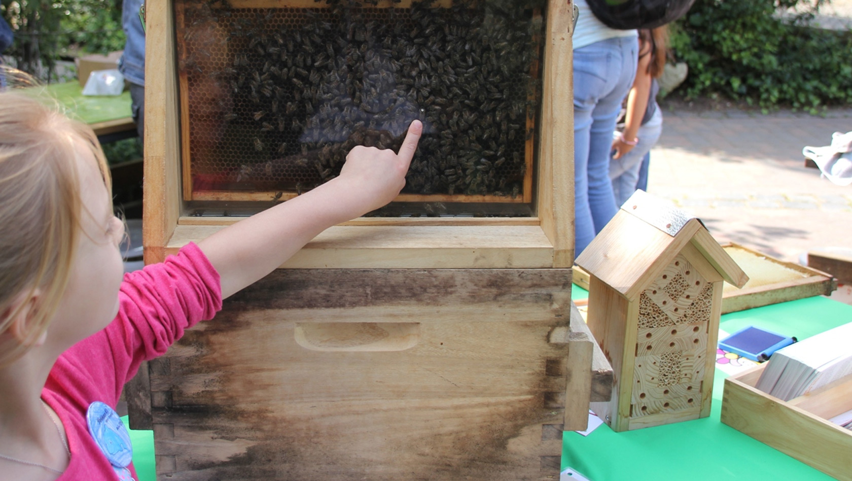 Erlebnis-Zoo Hannover Familienfest Bienen entdecken