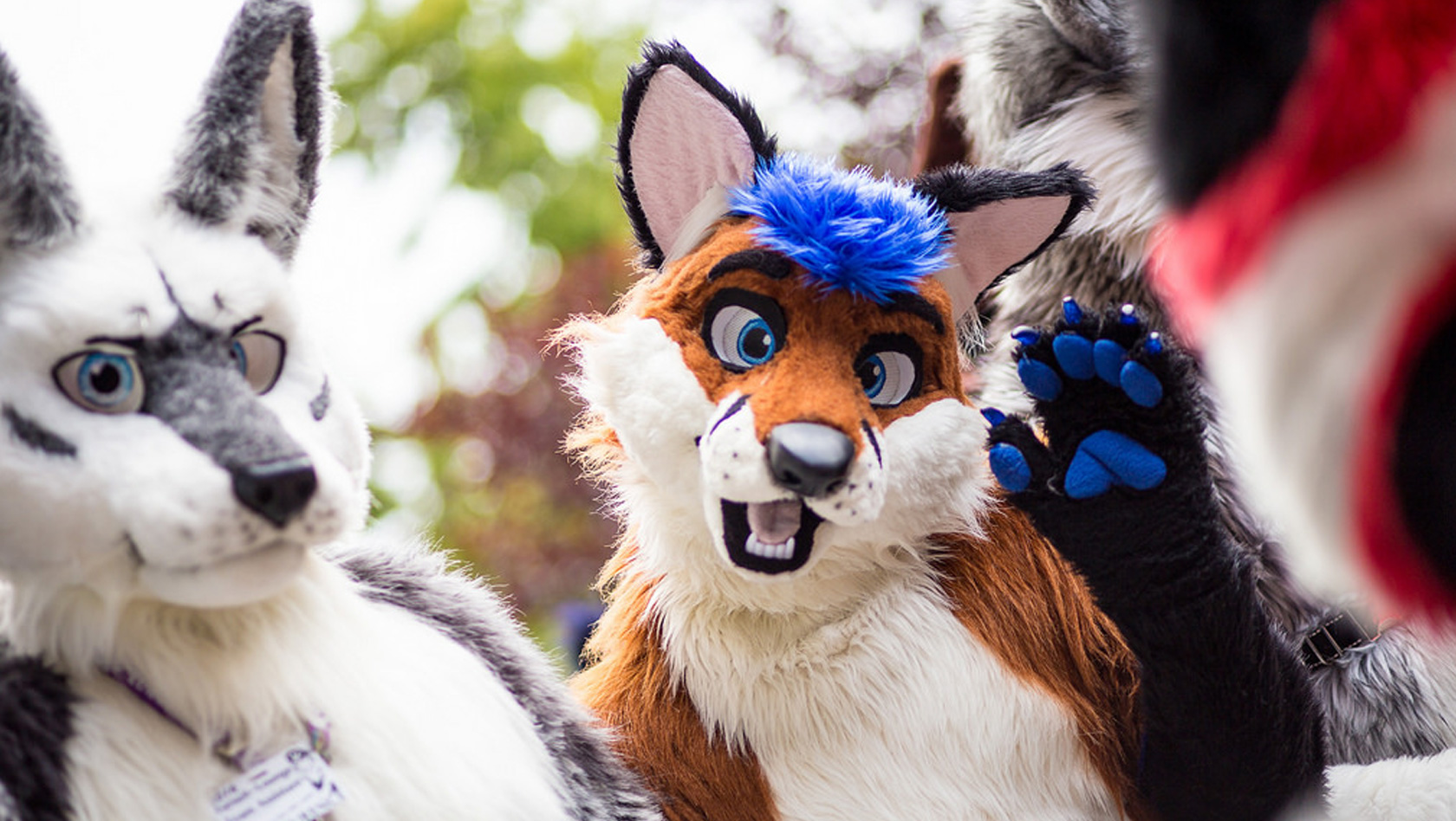 New Data Shows Furries Are Rapidly Growing in Number - But 