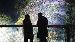 360 Grad Panorama Amazonien in Hannover Zoo Einblick