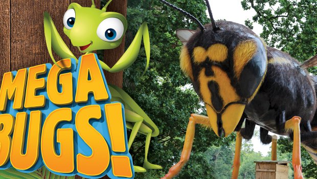 Mega Bugs! in Wild Adventures Theme Park