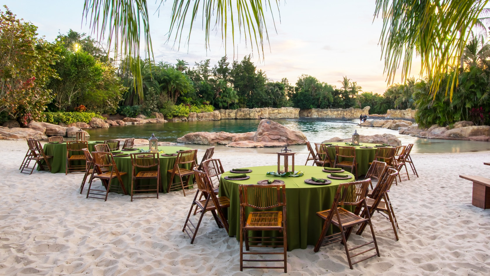 Discovery Cove Paradise Nights DInner