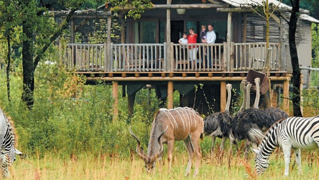 Le Pal Safari-Lodge