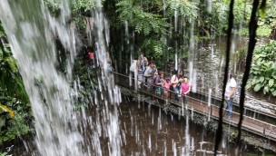 Wasserfall in Burgers' Bush in Burgers' Zoo Arnheim