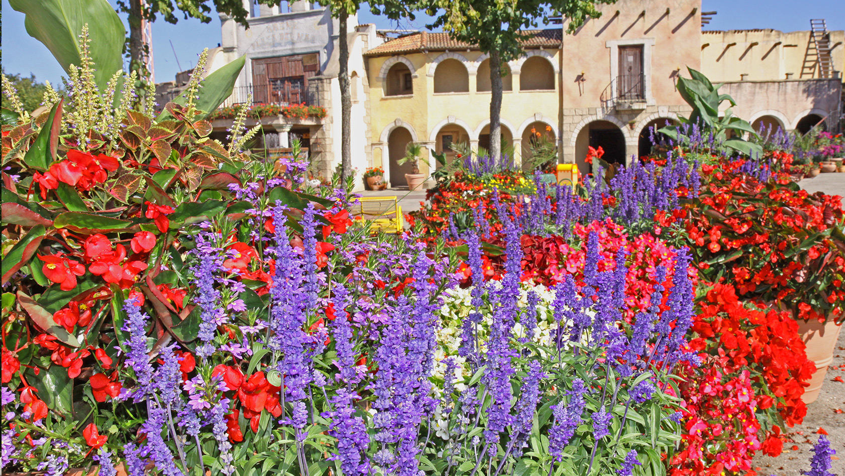 Hansa-Park Blumen in Spanien