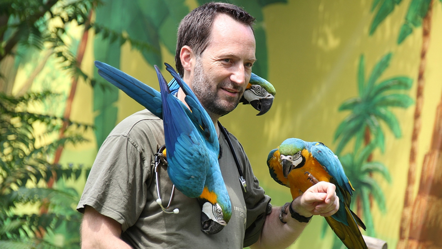 Tierarzt Dr. Viktor Molnar im Erlebnis-Zoo Hannover mit Papageien