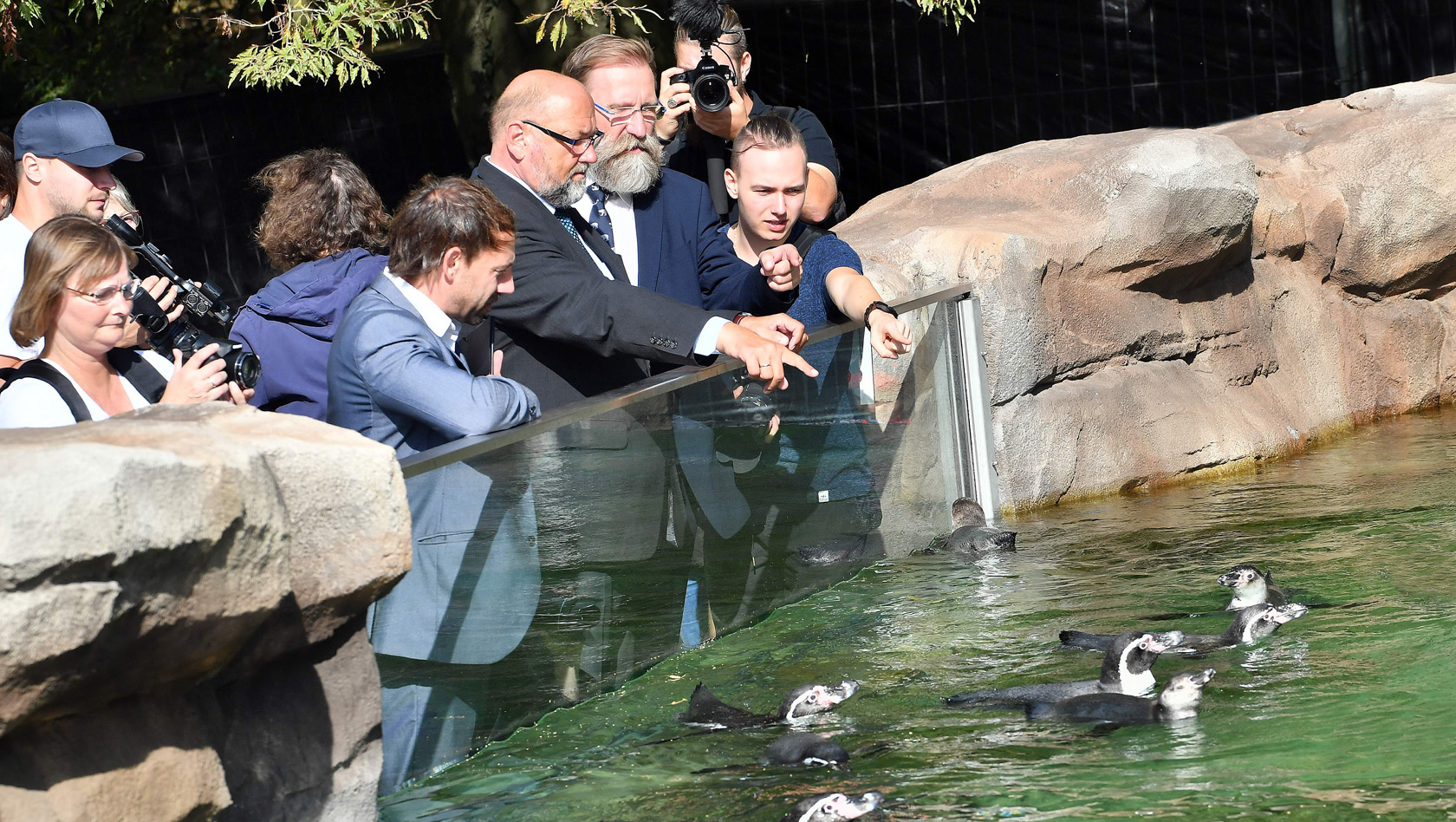 Polarium Zoo Rostock - Pinguine - Eröffnung