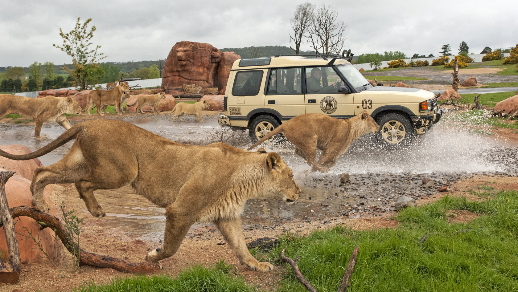 safari auto park