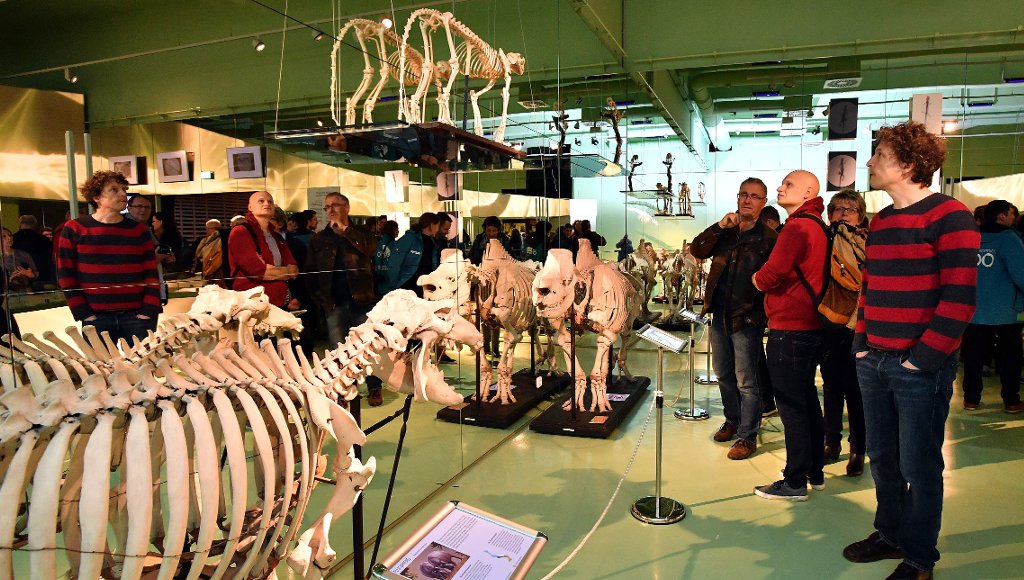 Zoo Rostock Ausstellung Fortbewegung