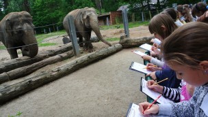 Tierpark Cottbus Zooschule