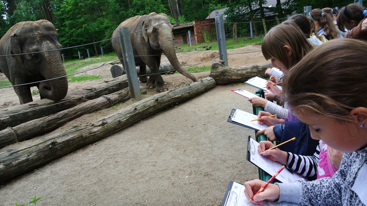 Tierpark Cottbus Zooschule