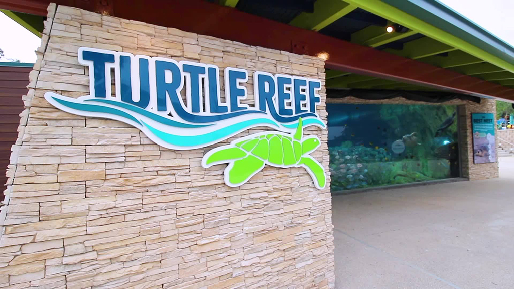 SeaWorld San Antonio Turtle Reef