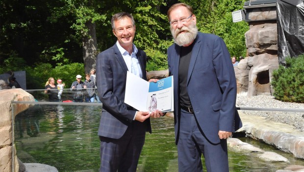 Zoo Rostock Pinguin-Küken 2019 Nordwasser GmbH
