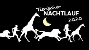 Zoo Hannover Nachtlauf 2020