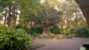 Efteling sprechender Baum Märchenwald