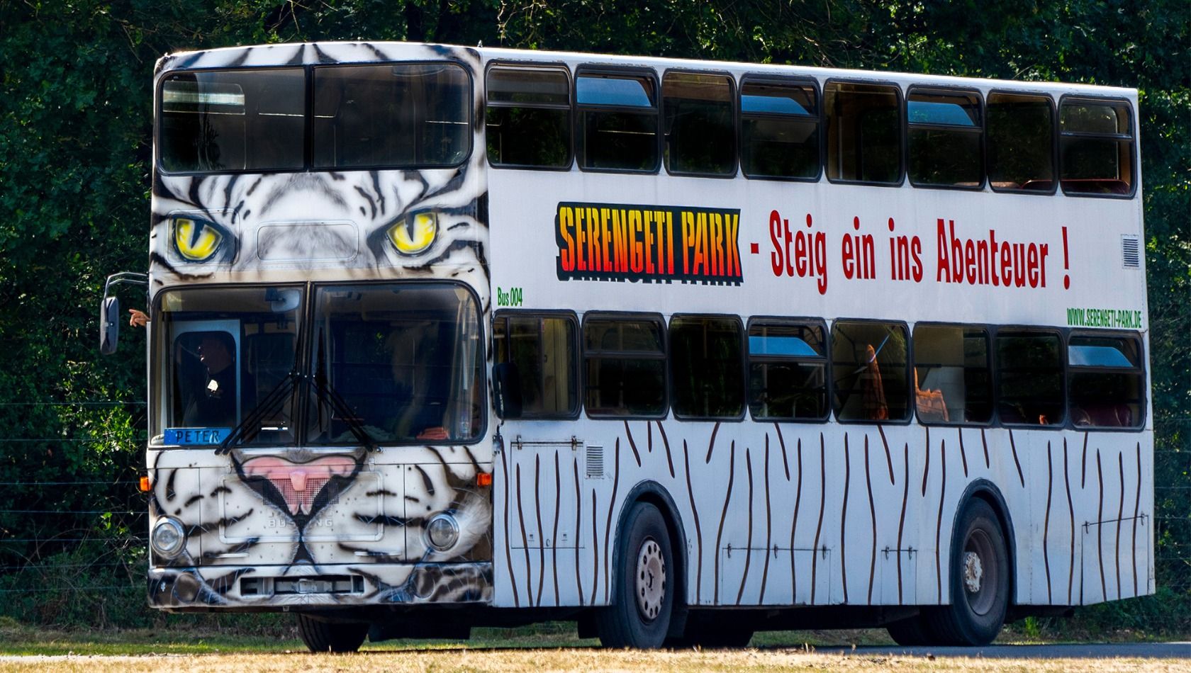 hc safari bus
