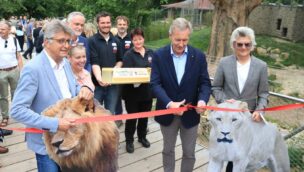 Zoo Osnabrück Löwengehege neu Eröffnung