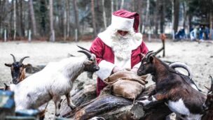 Wildpark Müden Tierische Weihnacht Nikolaus
