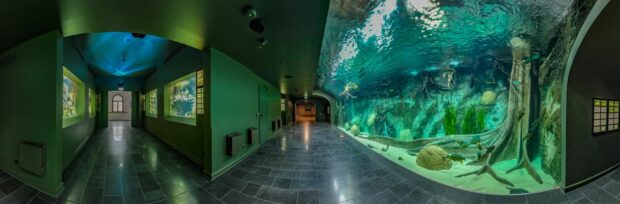 Aquarium Zoo Leipzig geöffnet 2022