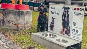 Bavaria Filmstadt Hunde erlaubt
