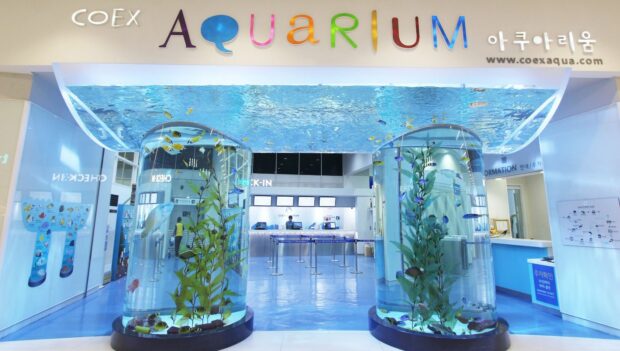 Coexaqua Coex Aquarium Seoul Eingang