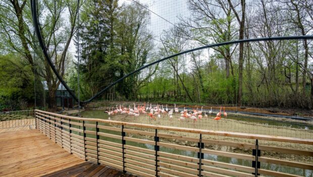Die Flamingo-Anlage zur Neueröffnung im Jahr 2022 im Münchner Tierpark Hellabrunn
