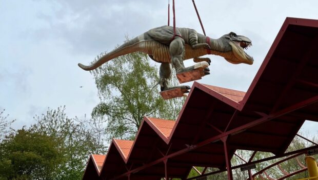 Die Tyrannosaurus Rex-Figur im Tier- und Freizeitpark Thüle wird mit einem Kran geliefert
