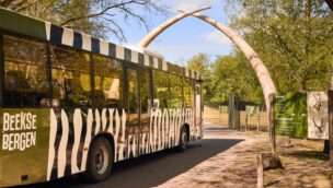 Ein Bus der Bus-Safari im Safaripark Beekse Bergen