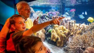 Ein Aquarium im SEA LIFE München mit zwei Kindern und einer älteren Person davor