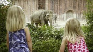 Kinder betrachten Elefanten im Zoo Leipzig