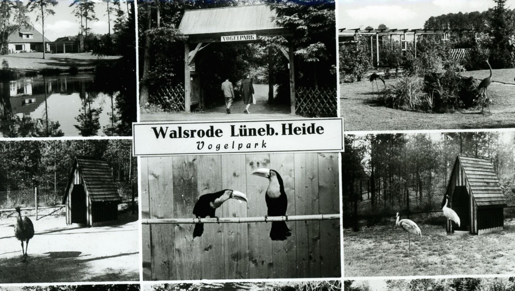 Weltvogelpark Walsrode historische Postkarte