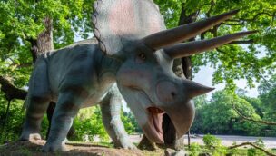 Dinosaurier-Ausstellung Berlin Triceratops