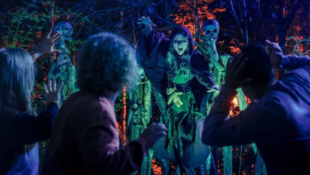 Toverland Halloween Witches Forest